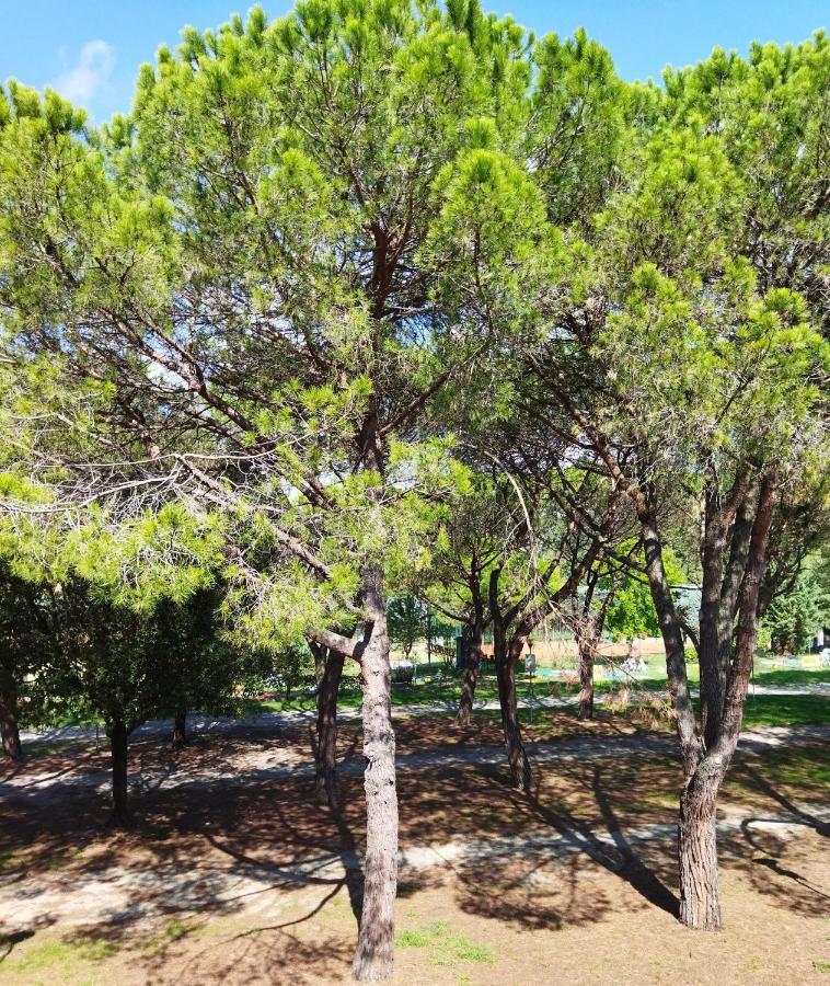 Doppi Bagni Sei Posti Letto Apartment